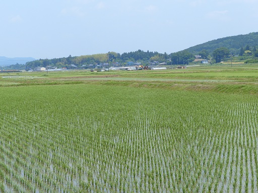 田んぼが広がる