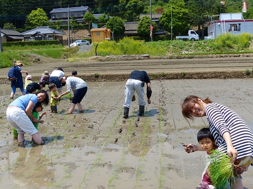 みんなで田植え