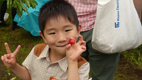 さくらんぼと男の子