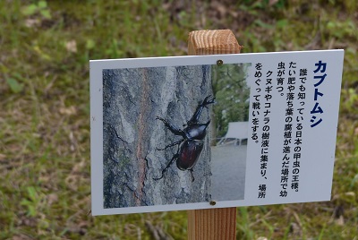 虫の看板　昆虫採集