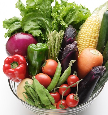 夏野菜収穫体験