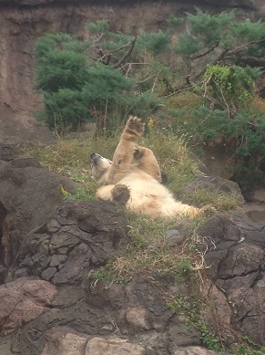 動物園　ツアー