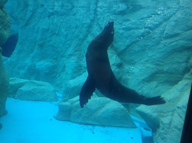 バスツアー　動物園