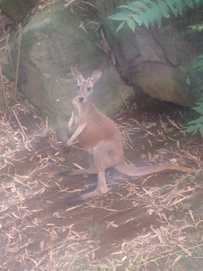 横浜　動物園　ツアー