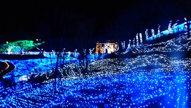 イルミネーションツアー