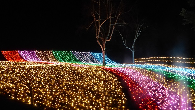 イルミネーション　バスツアー