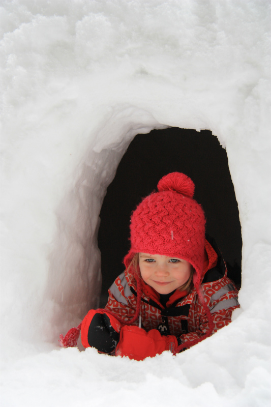 雪遊びツアー ソリ遊びツアー 雪遊びツアー ソリ遊びツアー