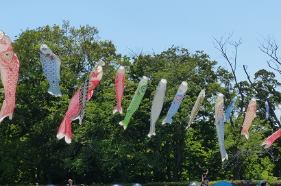 こどもの日　ツアー