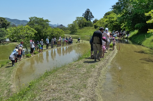 農業体験ツアー　子ども