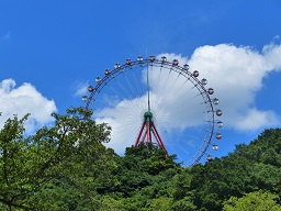 プレジャーフォレスト　ツアー