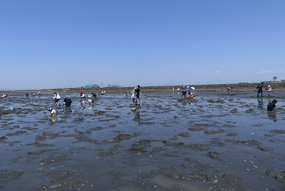 潮干狩り　子どもツアー