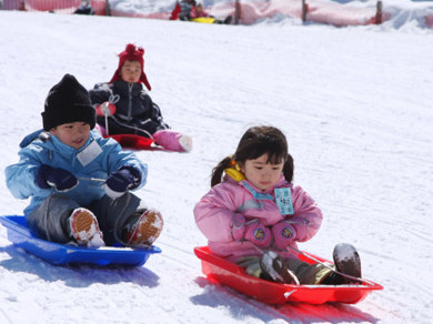 雪遊び　スキー　バスツアー