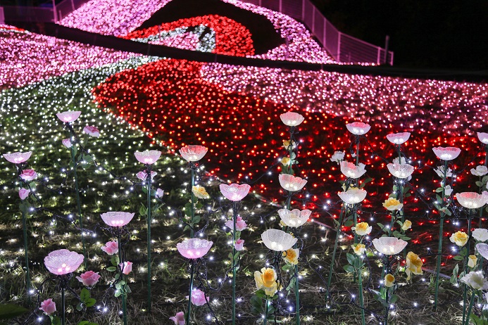 プレジャーフォレスト 楽しい プレジャーフォレスト 楽しい