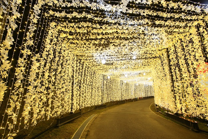 イルミネーション 2016親子ツアー イルミネーション 2016親子ツアー
