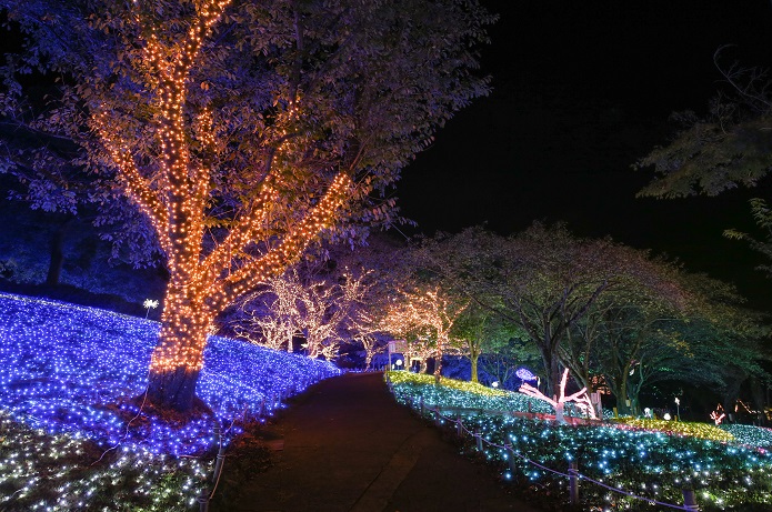 バスツアー 親子だけ バスツアー 親子だけ