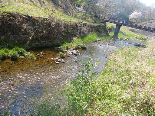 きれいな川