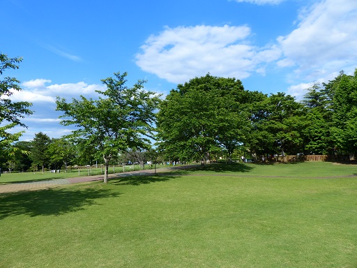 天気は晴れ