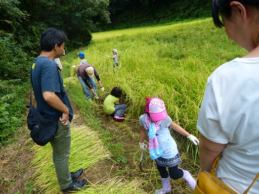 親子だけ バスツアー 親子だけ バスツアー